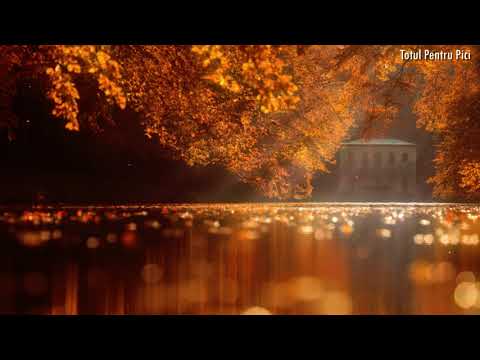 A venit pe dealuri, toamna! Fructe parfumate si legume coapte!