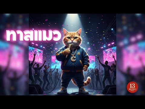 ทาสแมว(Cat Slave)