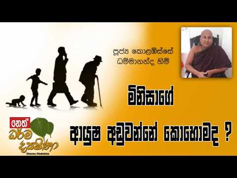 Darma Dakshina 2019.05.30 - Kolabisse Dhammananda Himi