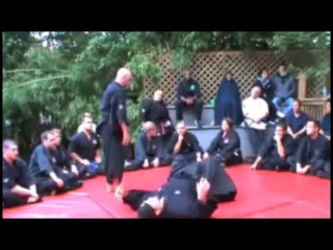 Chushin-ryoku (中心力 )