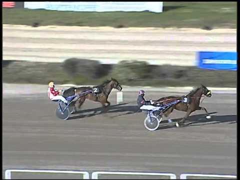 Trotto 13/01/2015 -  prova di qualifica