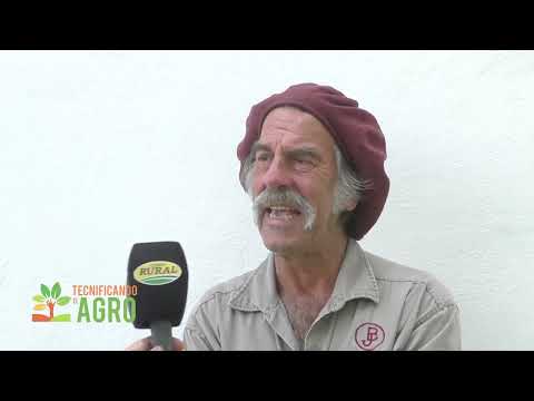 Búfalos en Loreto Corrientes Primera parte Ing Leucke cuenta cómo transformó la Ea. San Antonio