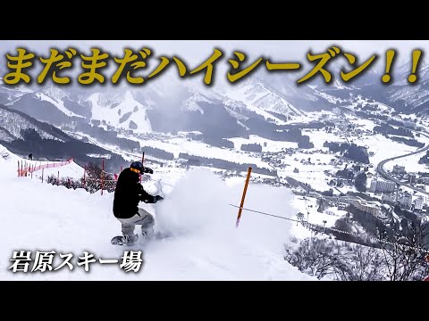 『岩原スキー場』暖冬とは思えない最高の雪質で転げるほどフリーランしてきた。