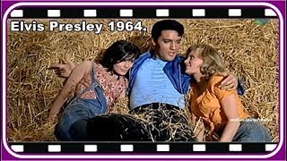✅ Elvis Presley = There's gold In The Mountains 1964!