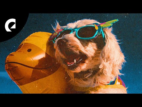 Superintendent McCupcakes - Mama Bawling