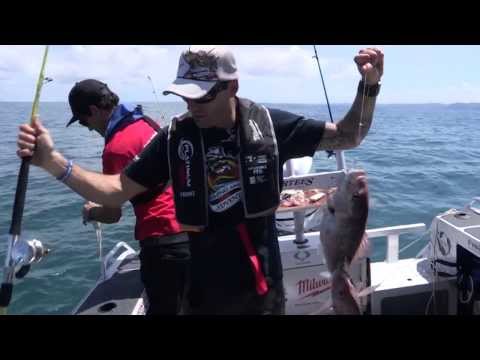 Fishing and Adventure Season 2 Episode 1 - Manukau