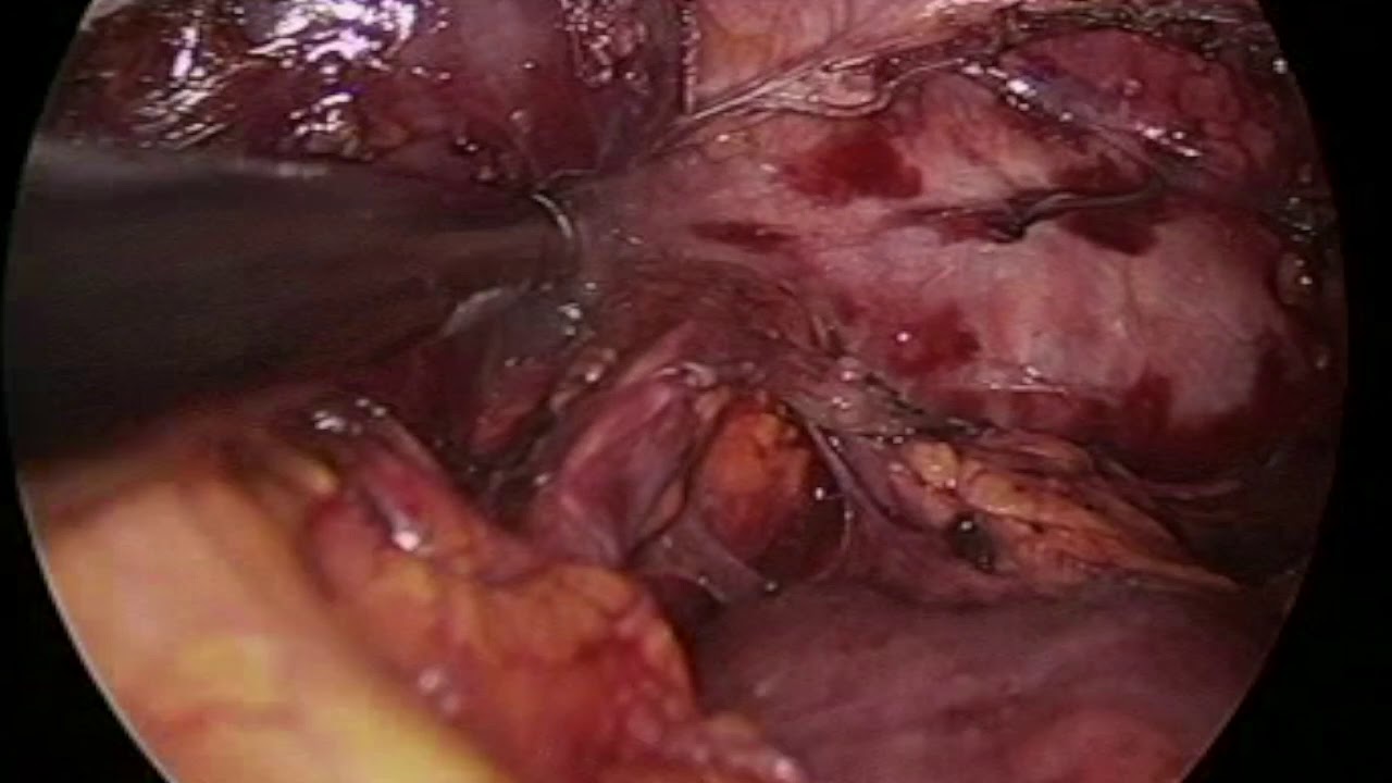 Stefano Cristiano-12