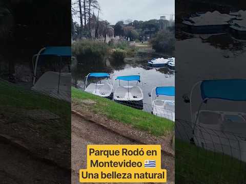 y vos qué te gusta más de este parque? #montevideo #uruguay #argentina