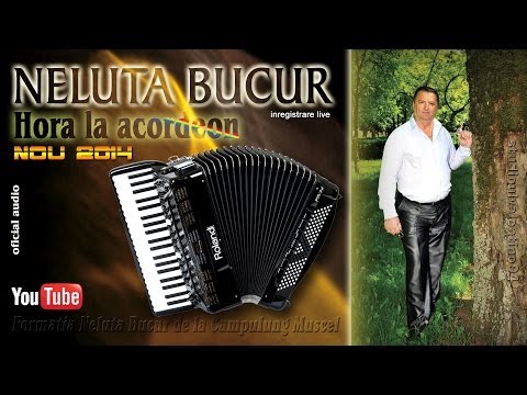 NELUTA BUCUR . Hora la acordeon (live audio)