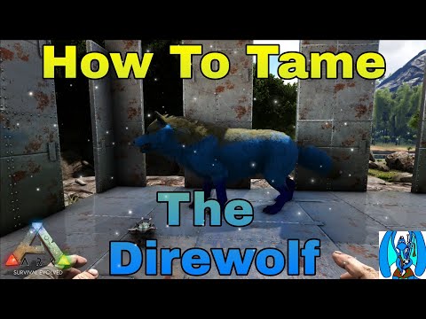 Ark Survival Evolved How To Tame The Direwolf