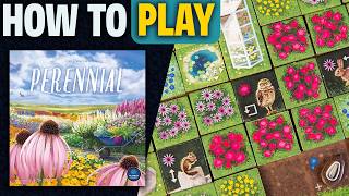 kovray - Perennial video thumbnail