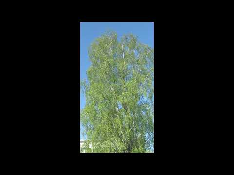 Marika - Uusi taivas..Uusi maa..🎵🙏🏼