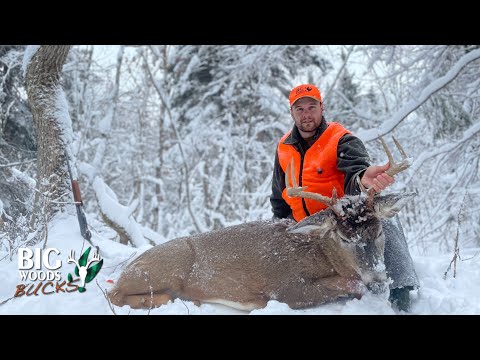 Stephen Schanz's 2021 Maine Buck Tracked Down on Snow | Big Woods Bucks