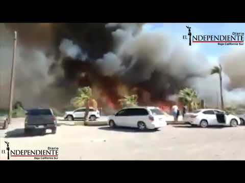 Se registra un INCENDIO en la zona de palmares de San Ignacio