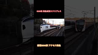 【2社路線が爆速離合！】JR線 成田エクスプレス＆京成線 アクセス特急 最高速同士の離合シーン