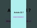 Article 23