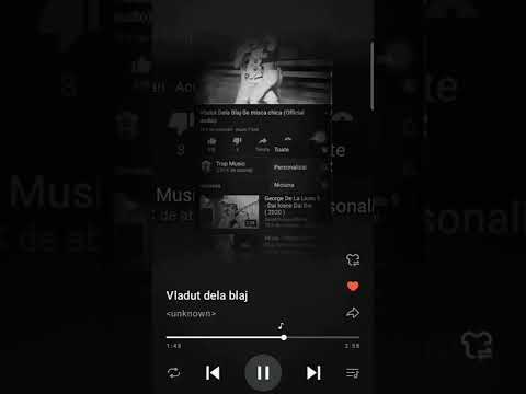 vladut dela blaj - se misca cica