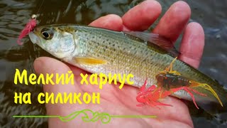 Ловля хариуса на силиконовую приманку