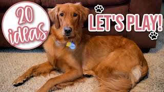 20 Games/Activities To Do With Your Dog | Fun Things To Do With Your Dog