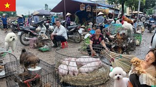 Sa Co Loa Market. The largest rural market in Hanoi selling …
