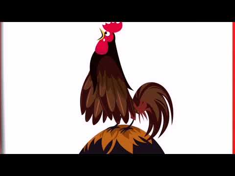 Rooster Crowing Compilation Plus - Rooster crowing sounds Effect 2022