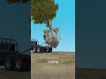 How A Truck Spade Transplants A Tree
