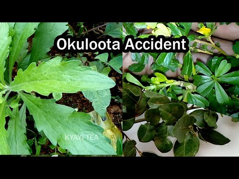 Okuloota Accident Naaba Eddagala Lino Buli Lunaku Ogobe Ebirooto Ebibi