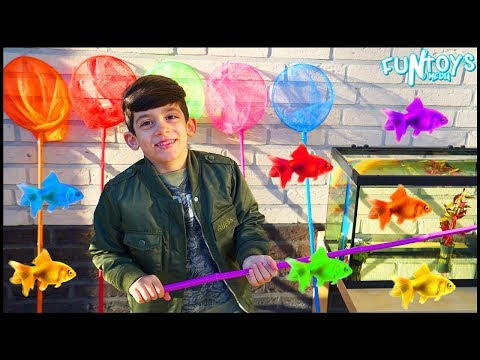 Catching Fish with Nets for Kids