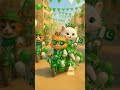 Pakistan Zindabad Independence Day Catshorts TabbyTok