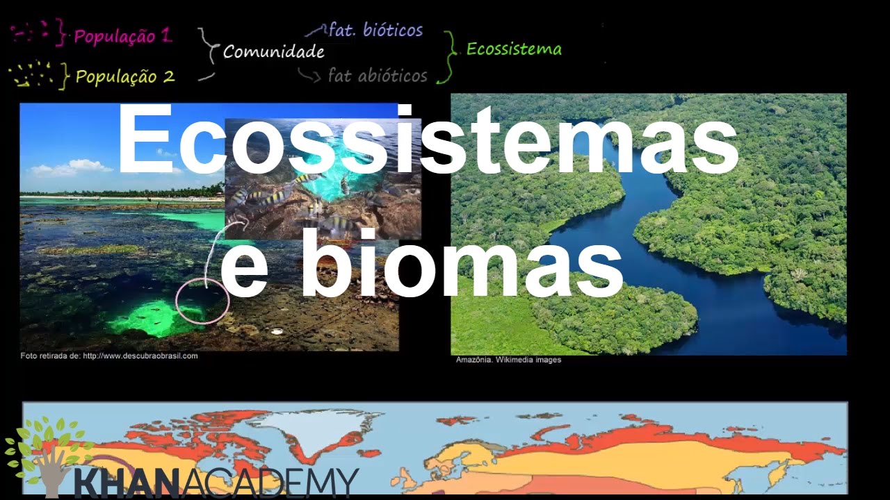 Ecossistemas e biomas | Ecologia | Biologia | Khan Academy