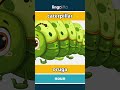 caterpillar - oruga video thumbnail