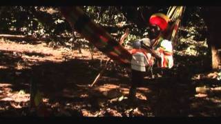 Little Guerrier   Faya Fi Burn