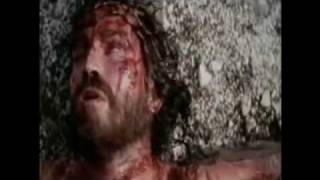 Quebrantado - Vineyard