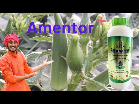 Clean Agro Fertilizer nu Amentor + Bhida saru evu Rijalat malel che 7203912813