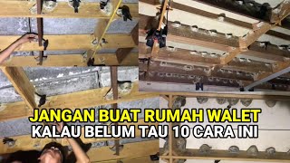 Download lagu THE SECRET TO SUCCESSFUL SWALLOW HOUSES!!! BEGINNERS NEED TO KNOW mp3
