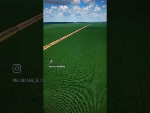 "Nova Piratininga: Onde o agronegócio encontra o infinito 🚜"A Fazenda que é maior que muitos países