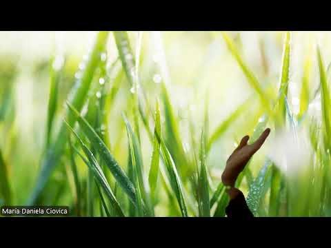 HIPNOZA REGRESIVA.RO339 Ana aspectul materialist ,frica de viitor,nesiguranta si mostenirea