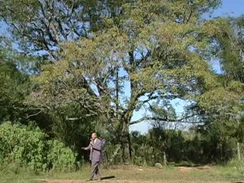 Oseas Costa - Cansei desta vida sem graça