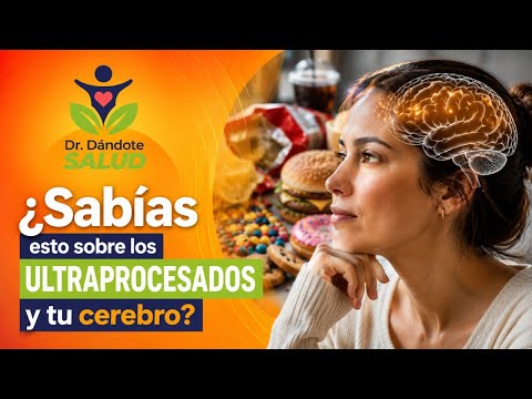 ¿Lo que comes puede influir en tu memoria y en la salud de tu cerebro?