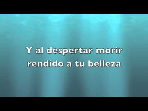 Tú y yo - Ricky Martin with Lyrics