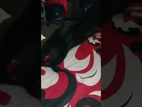 olie & papa tab's 😆😁