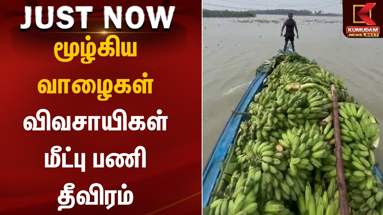 மூழ்கிய வாழைகள் விவசாயிகள் மீட்பு பணி தீவிரம் | Thiruchendur | Kumudam News