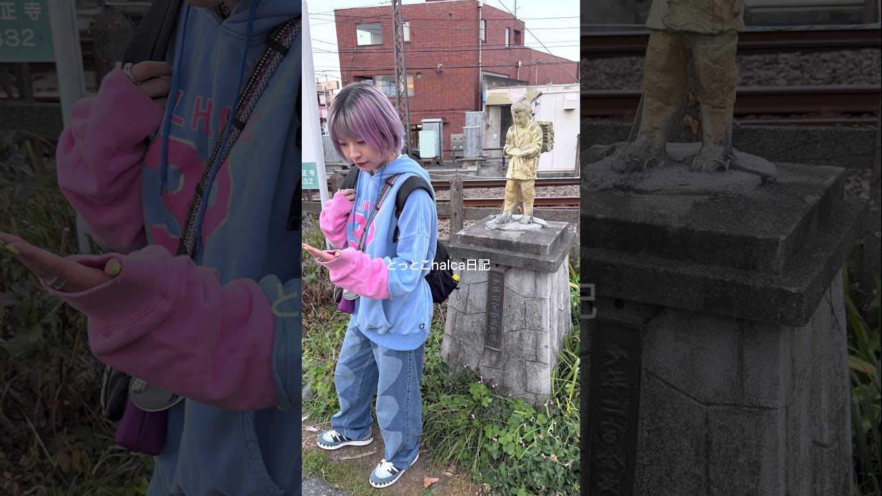 小田急線🚃螢田 とっとこhalca日記  -鉄道シリーズ114-