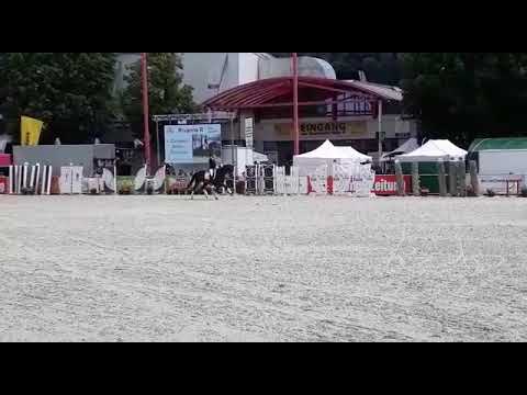 Rivanna R  Welser Messe 2019 Freigelände