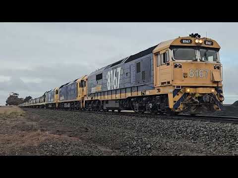 7731V PN empty grain to Murtoa Siding, 1527, 16/7/24, Lismore South VIC