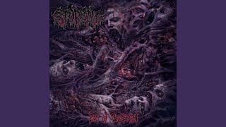 Sinking Into Catatonic Reality