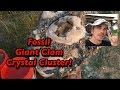 Huge Fossil Calcite Clam Crystal Cluster @ FT. Drum Florida - #MiningAmerica Ep22A - March 2017 Huge Fossil Calcite Clam Crystal Cluster @ FT. Drum Florida - #MiningAmerica Ep22A - March 2017