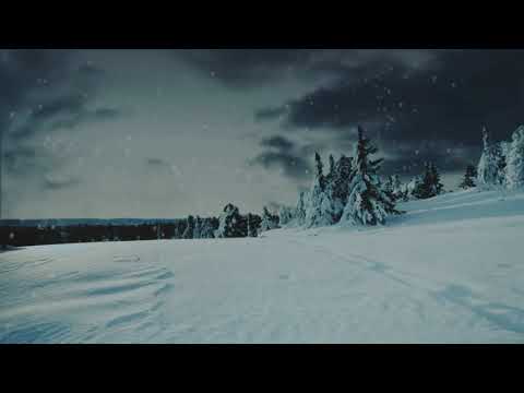 RATASTOOL x VÄIKE PEDE x LAIVI EI TOIMU x EUTANAA$IA TULISTAN Bass Boosted