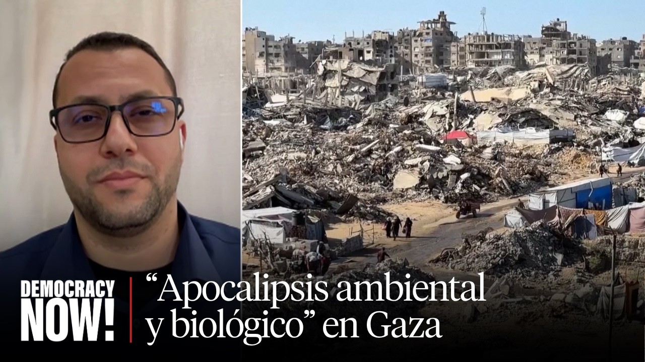 Ratas y enfermedades infestan Gaza, mientras Israel sigue bloqueando las tareas de reconstrucción