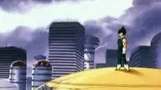 Goku &amp; Vegeta Pain Fore Pleasure